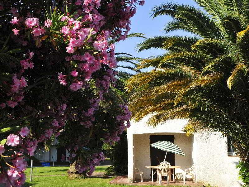 Hotel Le Domaine Du Mas Blanc By Popinns Alénya Buitenkant foto