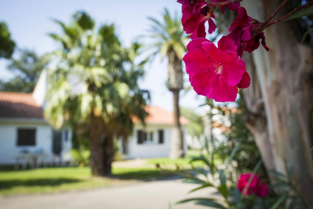 Hotel Le Domaine Du Mas Blanc By Popinns Alénya Buitenkant foto
